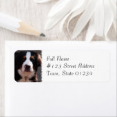 ベルネーズマウンテンドッグブリード住所 シール (インサイチュ)