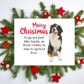 ベルネーズマウンテンドッグホリデーカード シーズンポストカード