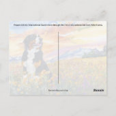 ベルネーズマウンテンドッグポストクロッシング – ポストカード (裏面)