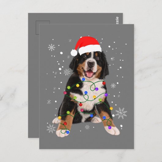 ベルネーズマウンテンドッグライトクリスマスマッチングファム ポストカード (正面/裏面)