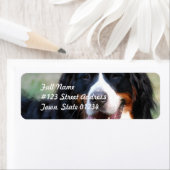 ベルネーズマウンテンドッグラベル ラベル (インサイチュ)