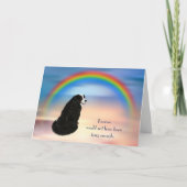 ベルネーズマウンテンドッグ虹の同情カードの損失 シーズンカード (正面)