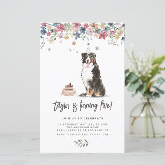 ベルネーズマウンテンドッグ誕生日パーティーの招待 (スタンド正面)