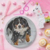 ベルネーズマウンテンドッグ雪の写真 ペーパープレート (パーティー)