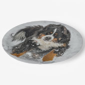 ベルネーズマウンテンドッグ雪の写真 ペーパープレート (アングル)