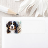 ベルネーズマウンテンドッグAI子犬 ラベル (インサイチュ)