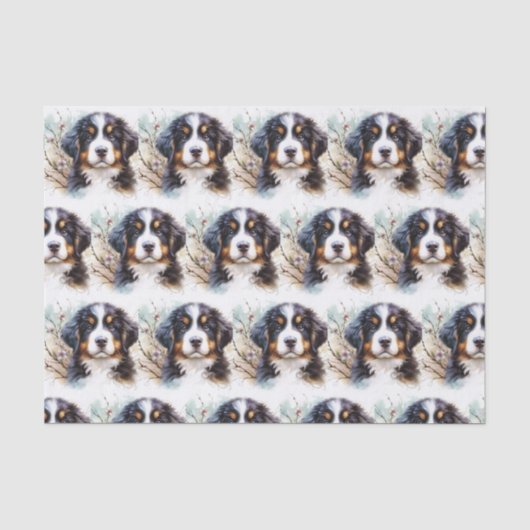 ベルネーズマウンテンドッグAI子犬 薄葉紙 (正面)