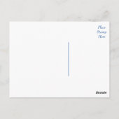 ベルネーズマウンテンパピードッグ空白のはがき ポストカード (裏面)