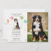 ベルネーズマウンテンポーティ子犬誕生日ピンク写真 招待状 (正面)