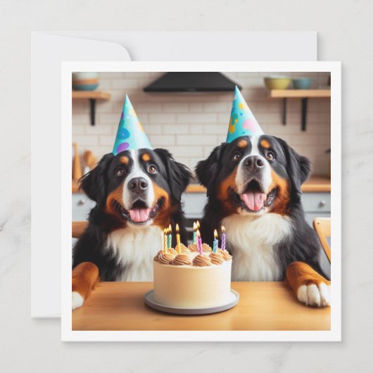 ベルネーズマウンテン犬の招待、犬の誕生日 招待状 (正面)