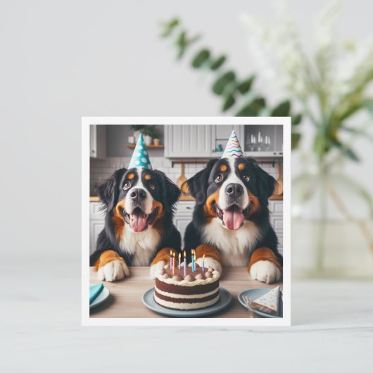 ベルネーズマウンテン犬の招待、犬の誕生日 招待状 (スタンド正面)