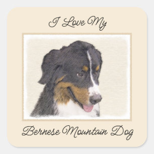 ベルネーズマウンテン絵画ドッグのオリジナル- Bernese Mountain Dog Art スクエアシール