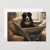 ベルネーズマウン読テン犬の新聞 ポストカード (正面/裏面)
