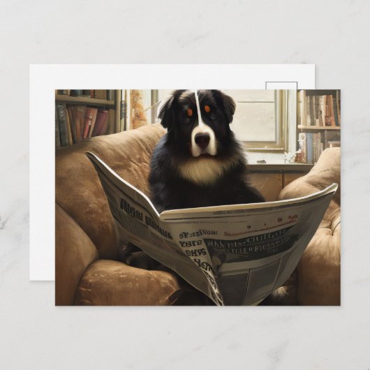 ベルネーズマウン読テン犬の新聞 ポストカード (正面/裏面)