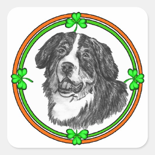 ベルネーズムントンドッグSt patricks スクエアシール (正面)