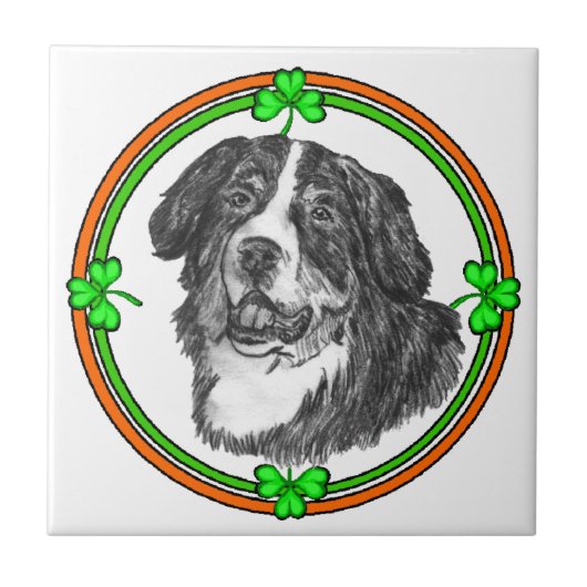 ベルネーズムントンドッグSt patricks タイル (正面)