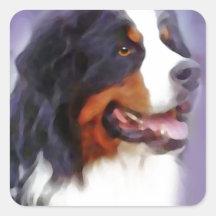 ベルネーゼの山犬