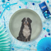 ベルネーゼマウンテンドッグ ペーパープレート (パーティー)