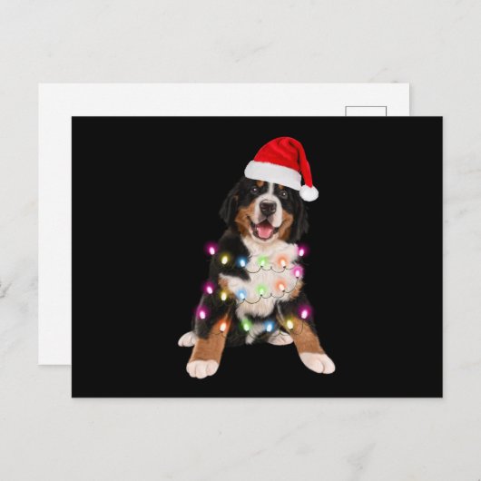 ベルネーゼ山の子犬のクリスマスギフト ポストカード (正面/裏面)