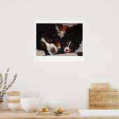 ベルネーゼ山犬がポスターに頭を向ける ポスター (キッチン)