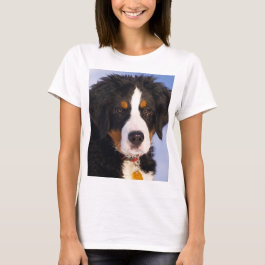 ベルネーゼ山犬さび子犬 Tシャツ (正面)