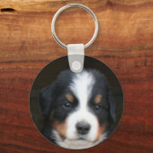 ベルネーゼ山犬のパップキーチェーン キーホルダー (正面)