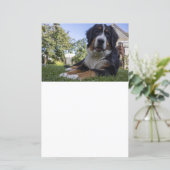 ベルネーゼ山犬の二番目のスクラップブック紙 (スタンド正面)
