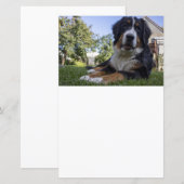 ベルネーゼ山犬の二番目のスクラップブック紙 (正面/裏面)