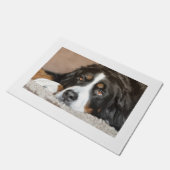 ベルネーゼ山犬の産卵 ドアマット (アングル)