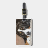 ベルネーゼ山犬の産卵 ラゲッジタグ (正面縦)