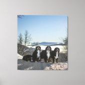 ベルネーゼ山犬グループ キャンバスプリント (正面)