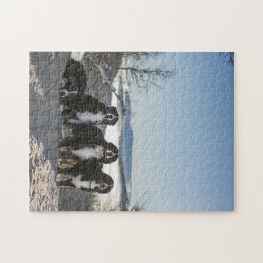 ベルネーゼ山犬グループ ジグソーパズル (横)