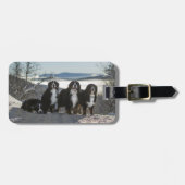 ベルネーゼ山犬グループ ラゲッジタグ (正面横)