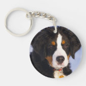 ベルネーゼ山犬 – かわいい子犬の写真 キーホルダー (正面)