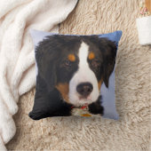 ベルネーゼ山犬 – かわいい子犬の写真 クッション (ブランケット)