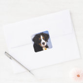 ベルネーゼ山犬 – かわいい子犬の写真 スクエアシール (封筒)