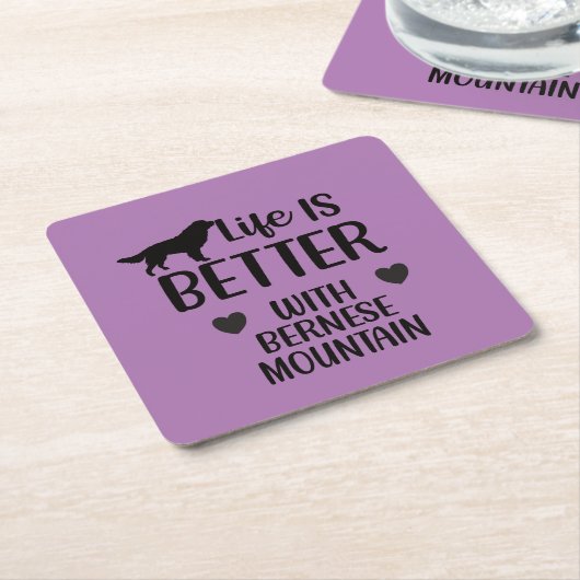 ベルネーゼ犬、ベルネーゼ恋人との生活が良い スクエアペーパーコースター (アングル)
