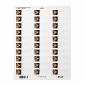 ベルネーゼ – mountain-dog-goging.png ラベル (フルシート)