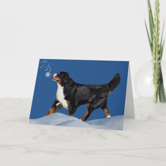 ベルネ山犬の冬のホリデーカード シーズンカード (正面)