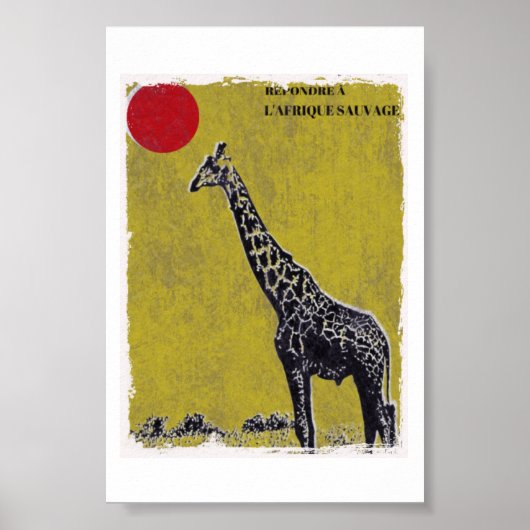 ベルハジラファ ポスター (正面)