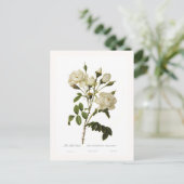 ベルバラ ポストカード (スタンド正面)