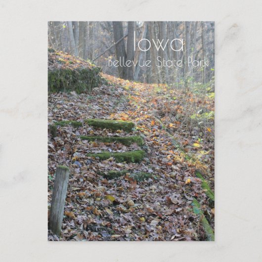 ベルビュー州パーク ポストカード (正面)