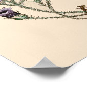 ベルフラワー植物学 ポスター (角)