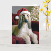 ベルベットのソファに座ったクリスマス・アフガン犬 カード (黄色い花)