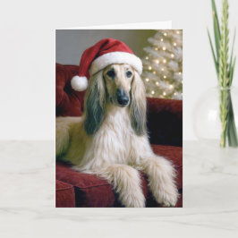 ベルベットのソファに座ったクリスマス・アフガン犬 カード