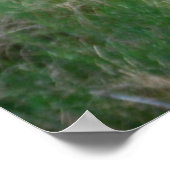 ベルベットのブルエルク ポスター (角)