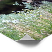 ベルベットの放牧で〔雄ジカの〕枝角を持つブルエルク ポスター (角)