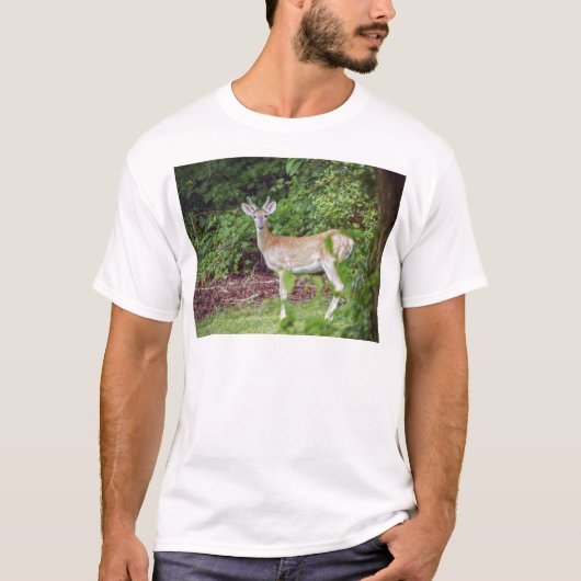 ベルベットの若手バック Tシャツ (正面)
