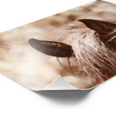 ベルベットの茶色の馬の耳と前髪 フォトプリント            (角)