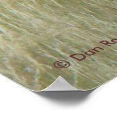 ベルベットの頭と肩のE9ブルエルク ポスター (角)